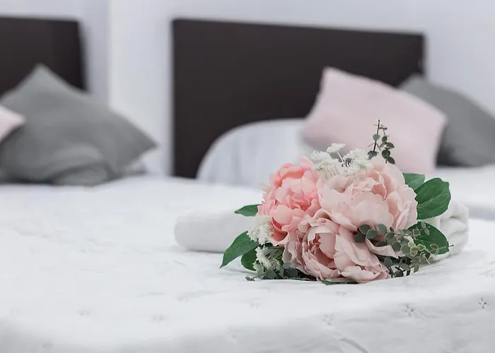 Vistas Mar Bahia Apartament *