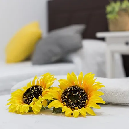 Vistas Mar Bahia Cadiz