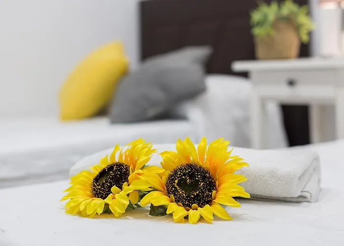 Vistas Mar Bahia Cadiz